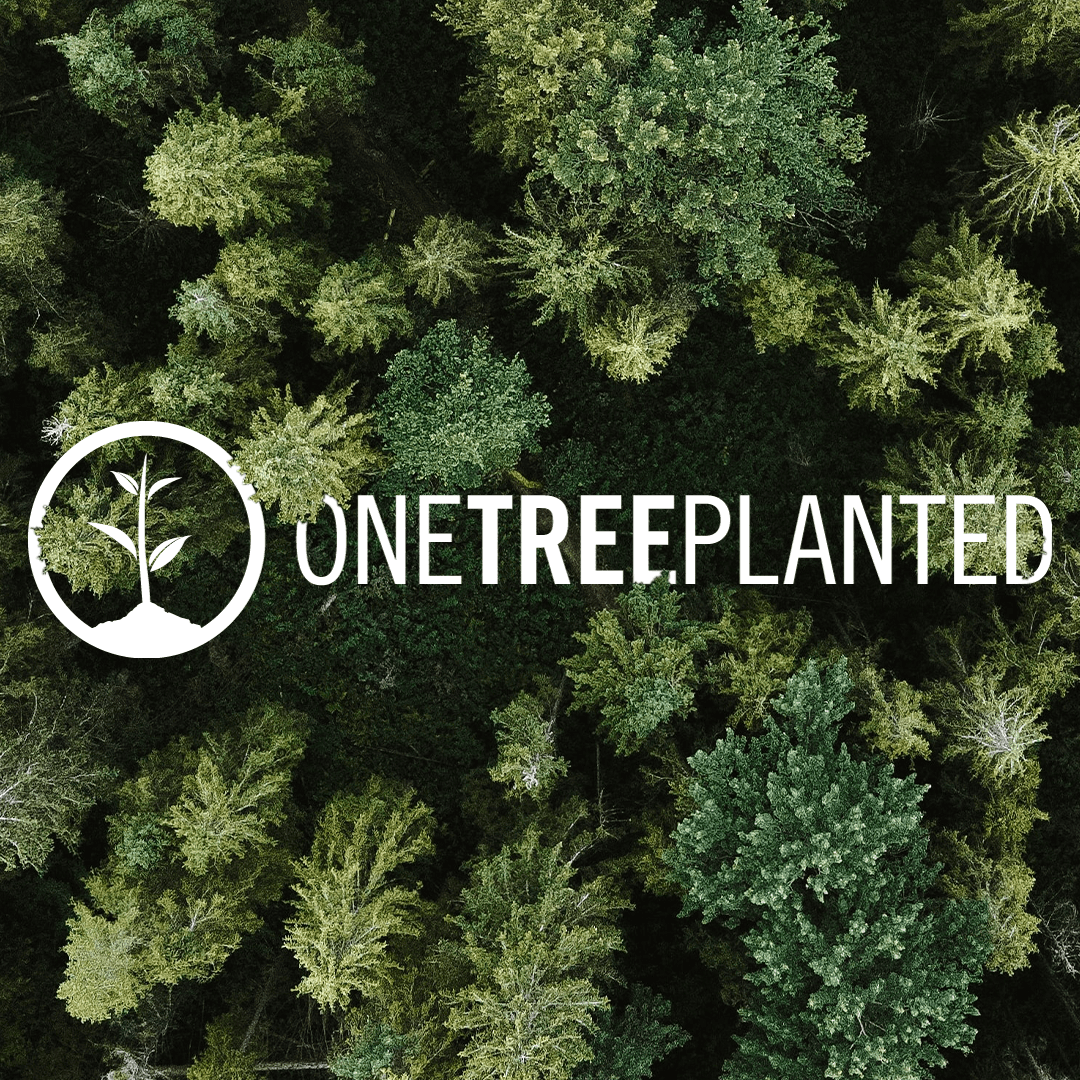 The One Tree Planted logo overlayed onto a green forest